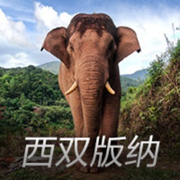 重磅微视频︱留得清气满乾坤